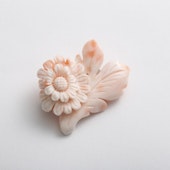 高知の珊瑚ブローチ大　スプレー菊B