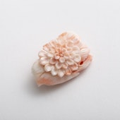 高知の珊瑚ブローチ小　ダリアC