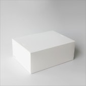 CA-TON/CA-TON 4S 3個セット