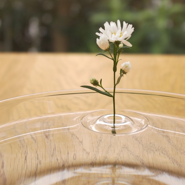 oodesign/Floating Vase RIPPLE -手持ちのカップやボウルが花器になる - スタイルストア