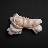 高知の珊瑚ブローチ大 薔薇A