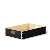 MOHEIM/LINDEN BOX S（renewal）