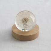 twodo/Light Base IH