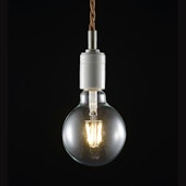 LED SWAN BULB