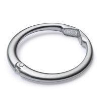 つやなしシルバー