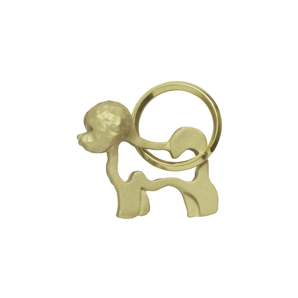 ビションフリーゼ